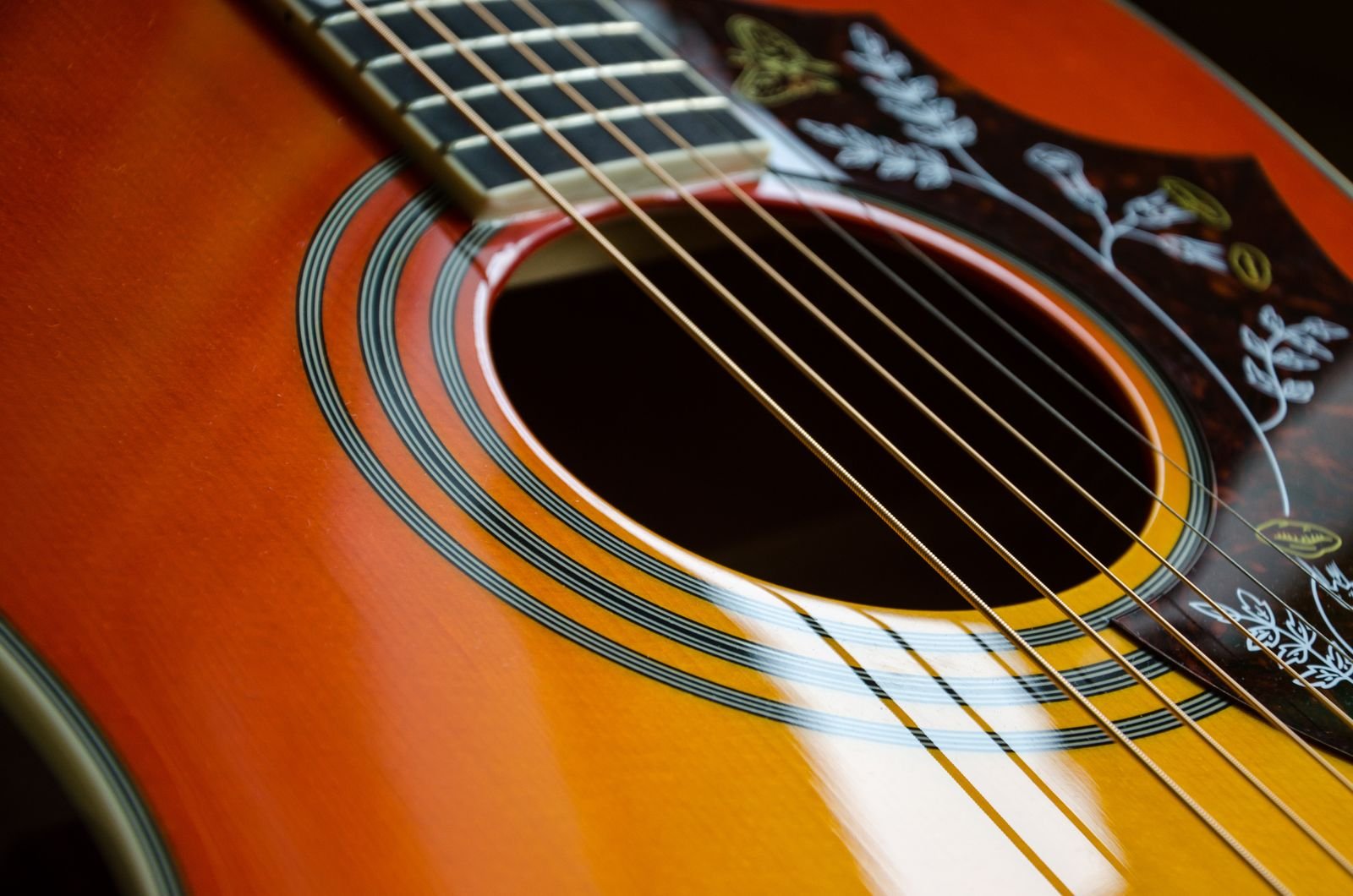 Close-up of an acoustic guitar soundhole, bridge and strings