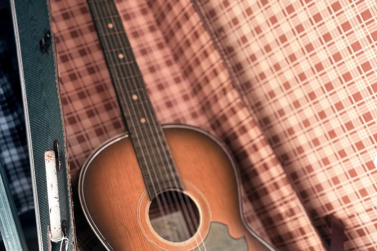 A guitar resting in an open padded travel case outdoors