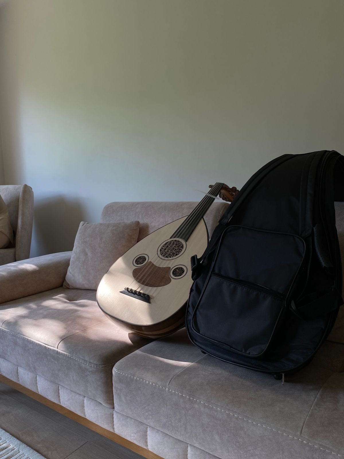 Padded gig bag with backpack-style carry straps