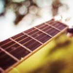 Close-up of a guitar fretboard and headstock in natural light