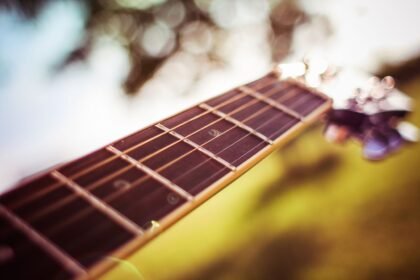 Close-up of a guitar fretboard and headstock in natural light
