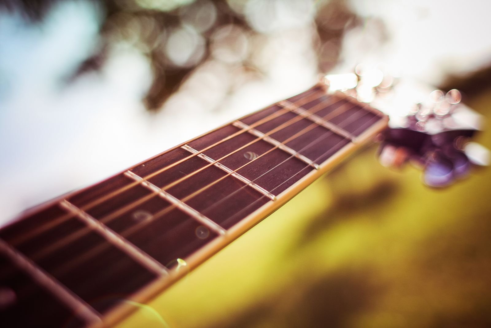 Close-up of a guitar fretboard and headstock in natural light