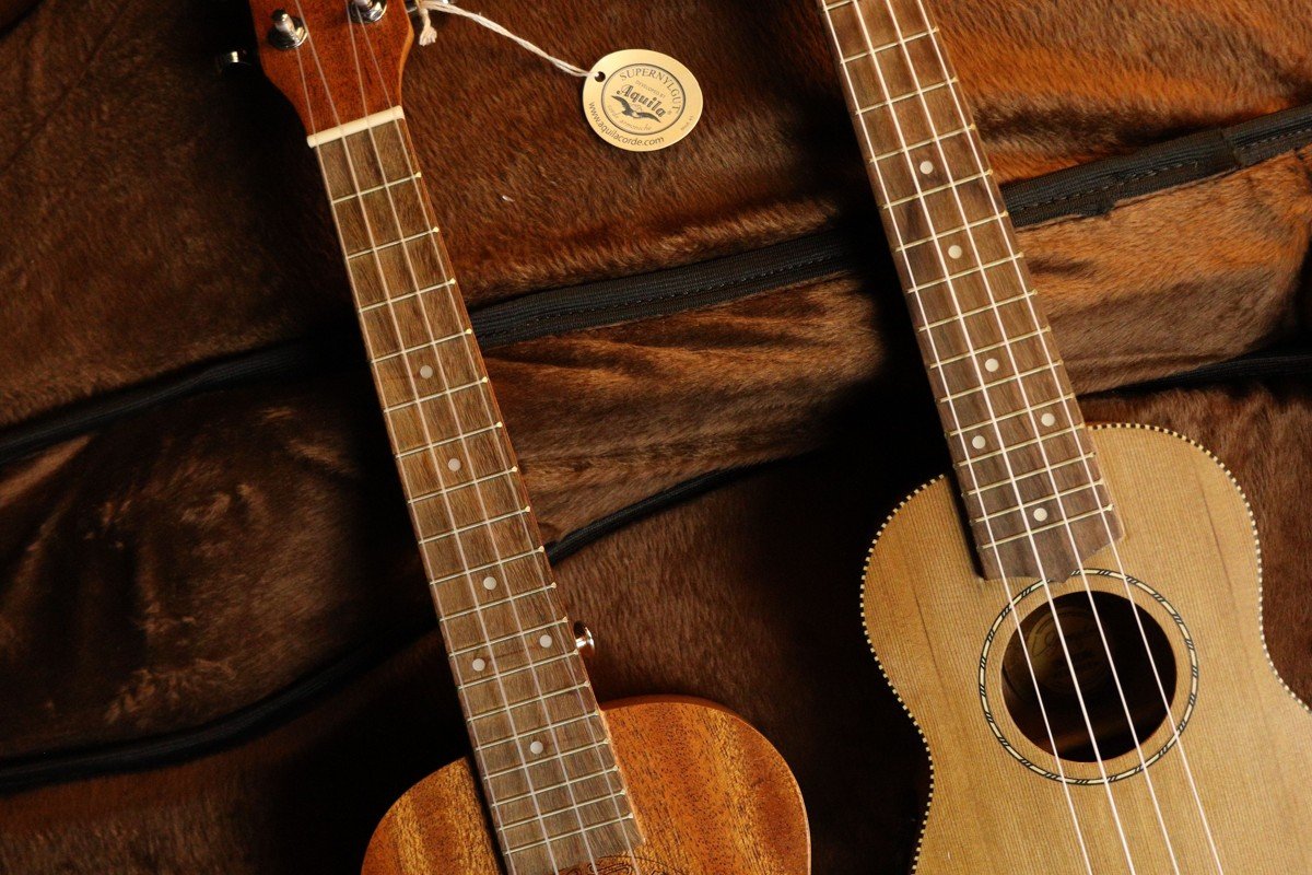 Two guitarlele necks with fretboard binding, similar to the Ortega Mini Travel Series