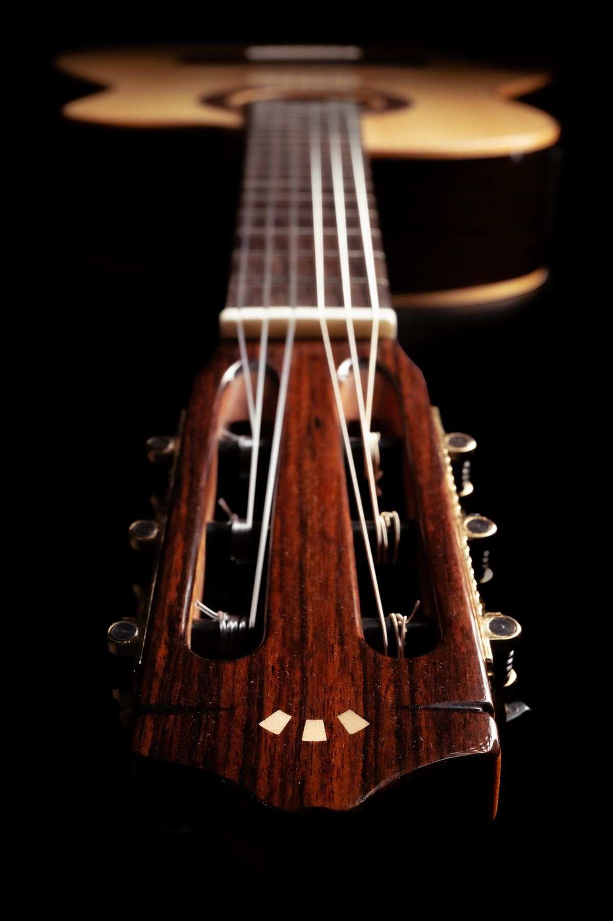 Close-up of a classical guitar's nut and lower fingerboard against a dark background
